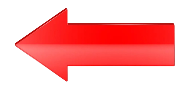 linfatica.png